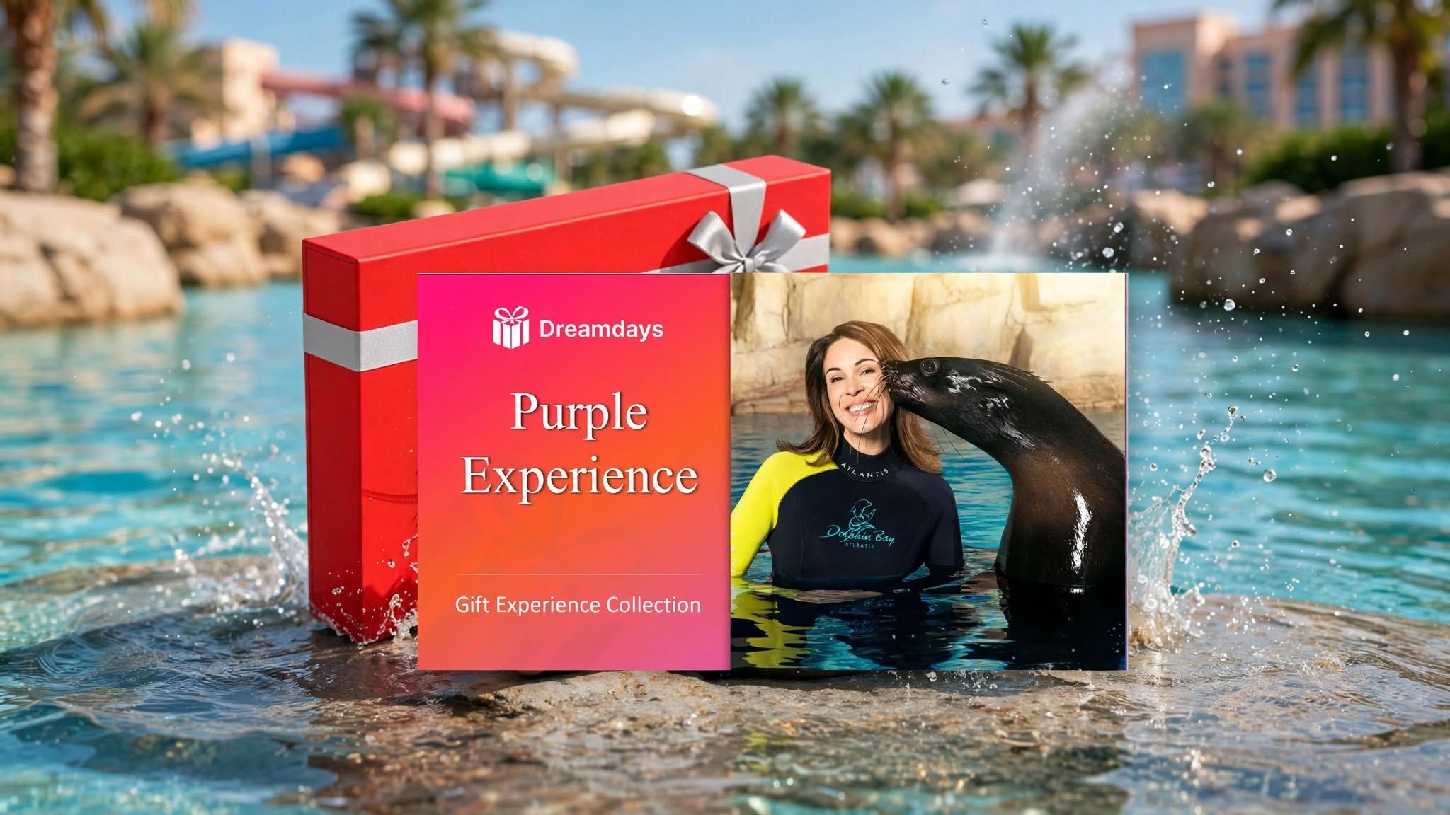 Purple Experience Collection